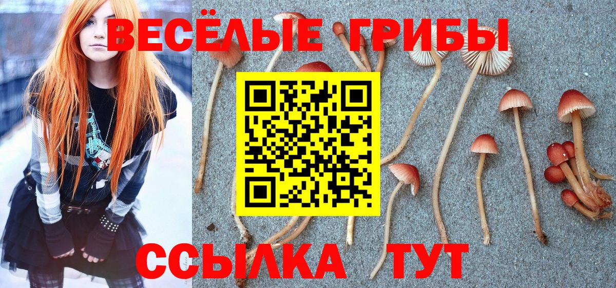 Россошь  Псилоцибиновые грибы прущие грибы  Вход с VPN 